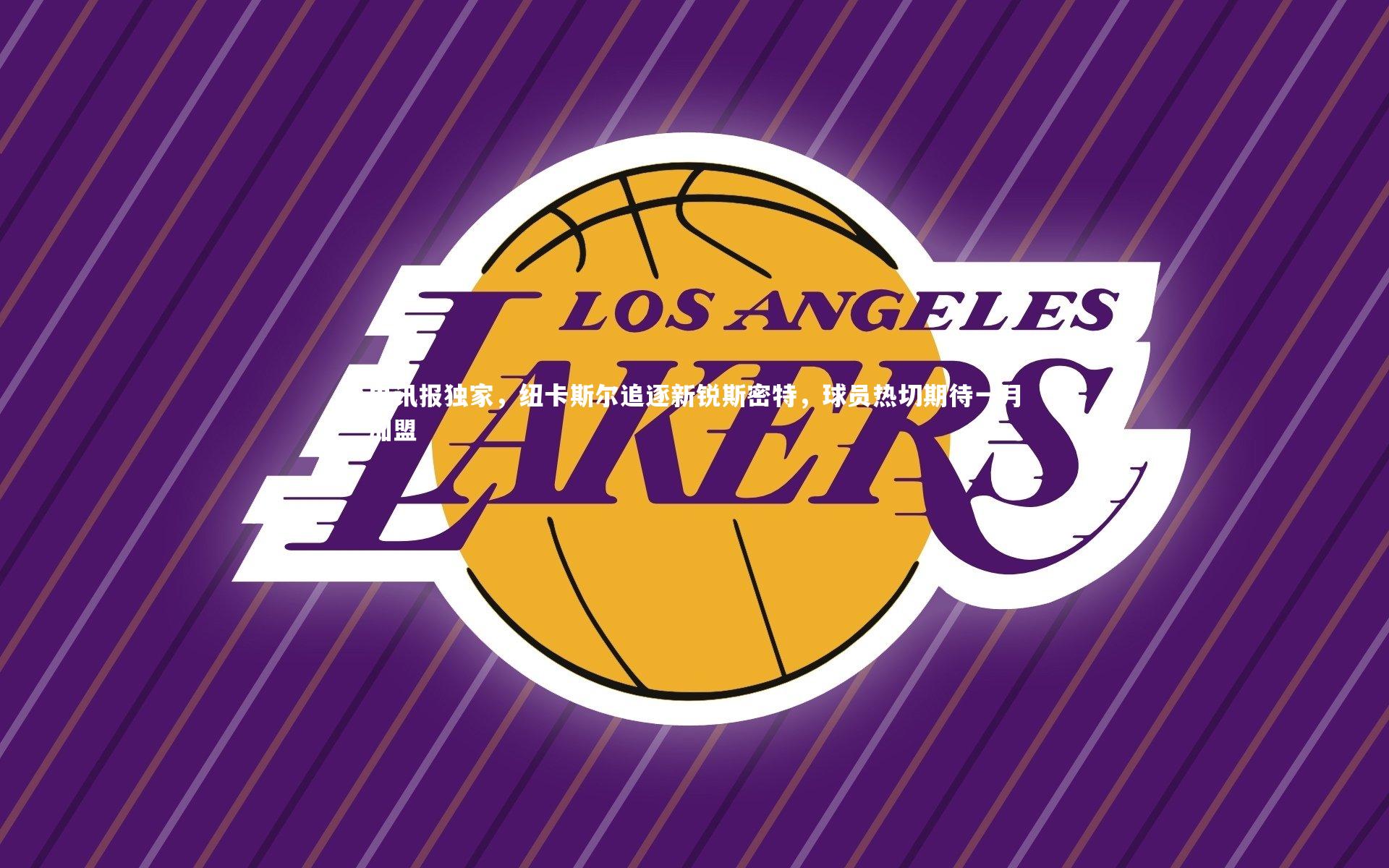 九游体育官方入口|电讯报独家，纽卡斯尔追逐新锐斯密特，球员热切期待一月加盟-第2张图片-九游体育